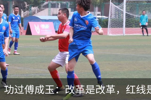 功过傅成玉：改革是改革，红线是红线